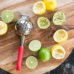 ingredient citrus juicer